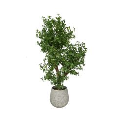 Custom Design Realistic Evergreen Interior Decor Big Green Tree in Cement Pot,Custom Design Realistic Evergreen Interior Decor Big Green Tree in Cement Pot