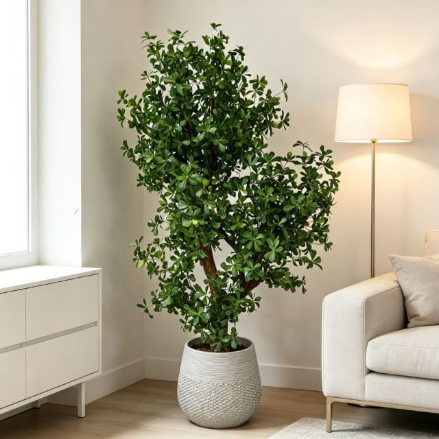 Custom Design Realistic Evergreen Interior Decor Big Green Tree in Cement Pot,Custom Design Realistic Evergreen Interior Decor Big Green Tree in Cement Pot