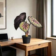 Premium Quality Artificial Alocasia Potted Plants For Living Room,Premium Quality Artificial Alocasia Potted Plants For Living Room