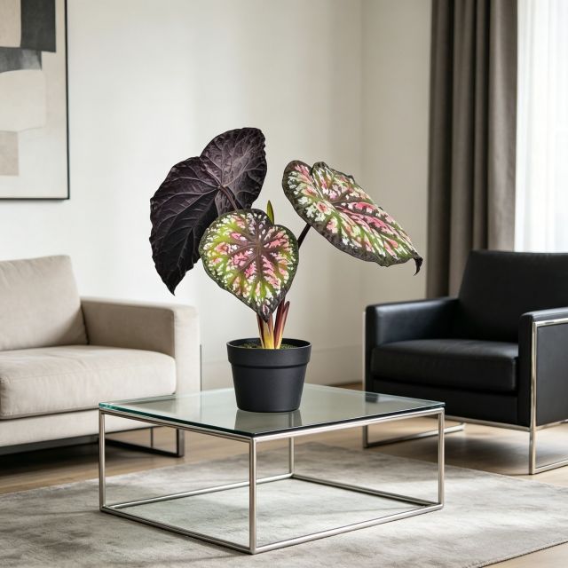 Premium Quality Artificial Alocasia Potted Plants For Living Room,Premium Quality Artificial Alocasia Potted Plants For Living Room