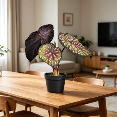 Premium Quality Artificial Alocasia Potted Plants For Living Room,Premium Quality Artificial Alocasia Potted Plants For Living Room