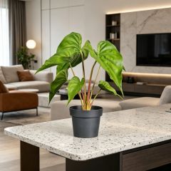 High Simulated Plastic Alocasia Table Decorations For Home,High Simulated Plastic Alocasia Table Decorations For Home