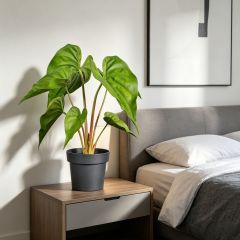 High Simulated Plastic Alocasia Table Decorations For Home,High Simulated Plastic Alocasia Table Decorations For Home