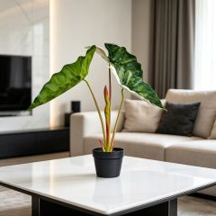  Highly Realistic Artificial Potted Alocasia Plants For Home Living Room,Highly Realistic Artificial Potted Alocasia Plants For Home Living Room