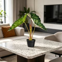  Highly Realistic Artificial Potted Alocasia Plants For Home Living Room,Highly Realistic Artificial Potted Alocasia Plants For Home Living Room