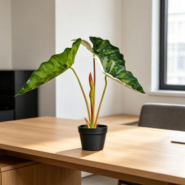  Highly Realistic Artificial Potted Alocasia Plants For Home Living Room,Highly Realistic Artificial Potted Alocasia Plants For Home Living Room
