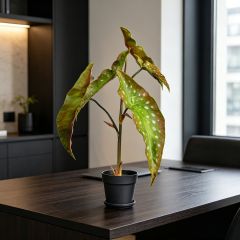 Nearly Natural Artificial Alocasia Potted Plants For Home Decor,Nearly Natural Artificial Alocasia Potted Plants For Home Decor