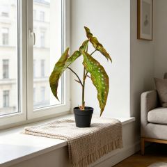 Nearly Natural Artificial Alocasia Potted Plants For Home Decor,Nearly Natural Artificial Alocasia Potted Plants For Home Decor