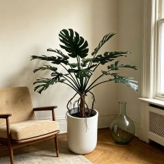 Home Decorative Artificial Monstera Potted Plant For Modern Home Decoration,Home Decorative Artificial Monstera Potted Plant For Modern Home