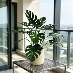  Lifelike Faux Monstera Potted Houseplant For Living Room,Lifelike Faux Monstera Potted Houseplant For Living Room