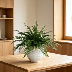 High Simulated Artificial Fern Potted Plant For Home Decor,High Simulated Artificial Fern Potted Plant For Home Decor