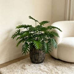 Evergreen Artificial Philodendron Xanadu Plant For Indoor Decor,Evergreen Artificial Philodendron Xanadu Plant For Indoor Decor