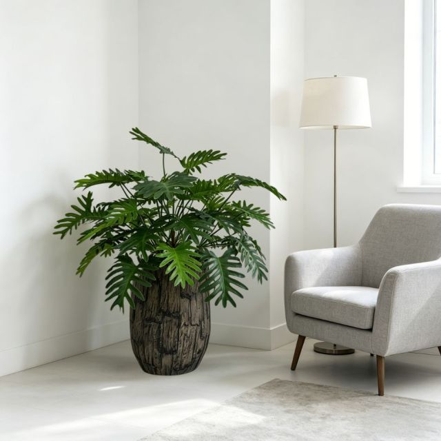Evergreen Artificial Philodendron Xanadu Plant For Indoor Decor,Evergreen Artificial Philodendron Xanadu Plant For Indoor Decor