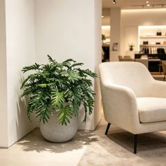 Highly Realistic Artificial Philodendron Xanadu Potted Plant For Home,Highly Realistic Artificial Philodendron Xanadu Potted Plant For Home