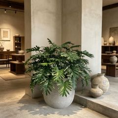 Highly Realistic Artificial Philodendron Xanadu Potted Plant For Home,Highly Realistic Artificial Philodendron Xanadu Potted Plant For Home