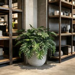 Highly Realistic Artificial Philodendron Xanadu Potted Plant For Home,Highly Realistic Artificial Philodendron Xanadu Potted Plant For Home