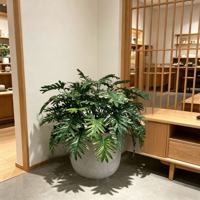 Highly Realistic Artificial Philodendron Xanadu Potted Plant For Home,Highly Realistic Artificial Philodendron Xanadu Potted Plant For Home