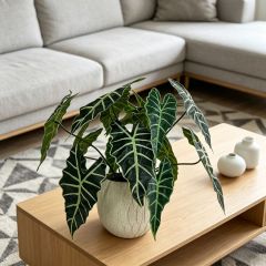 Premium Quality Realistic Artificial Alocasia Plants For Modern Home Decor,Premium Quality Realistic Artificial Alocasia Plants For Modern Home Decor
