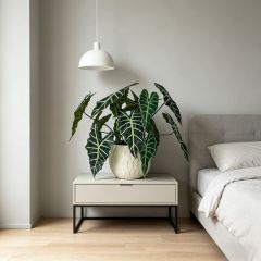 Premium Quality Realistic Artificial Alocasia Plants For Modern Home Decor,Premium Quality Realistic Artificial Alocasia Plants For Modern Home Decor