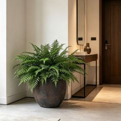 Nearly Natural Artificial Boston Fern Potted Plant For Interior Decoration,Nearly Natural Artificial Boston Fern Potted Plant For Interior Decoration