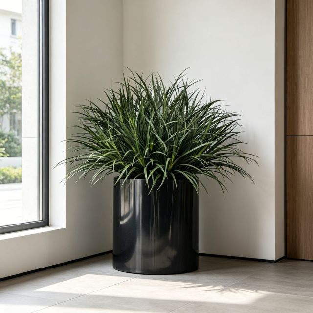 Evergreen Faux Greenery Plant Arrangement Modern Home Corner Decor Artificial Potted Grass Plants,Evergreen Faux Greenery Plant Arrangement Modern Home Corner Decor Artificial Potted Grass Plants