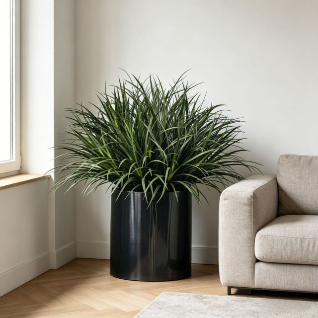 Evergreen Faux Greenery Plant Arrangement Modern Home Corner Decor Artificial Potted Grass Plants,Evergreen Faux Greenery Plant Arrangement Modern Home Corner Decor Artificial Potted Grass Plants