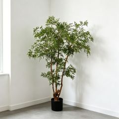 Premium Quality Artificial Polyscias Tree Potted plant For Living Room,Premium Quality Artificial Nandina Tree Potted plant For Living Room
