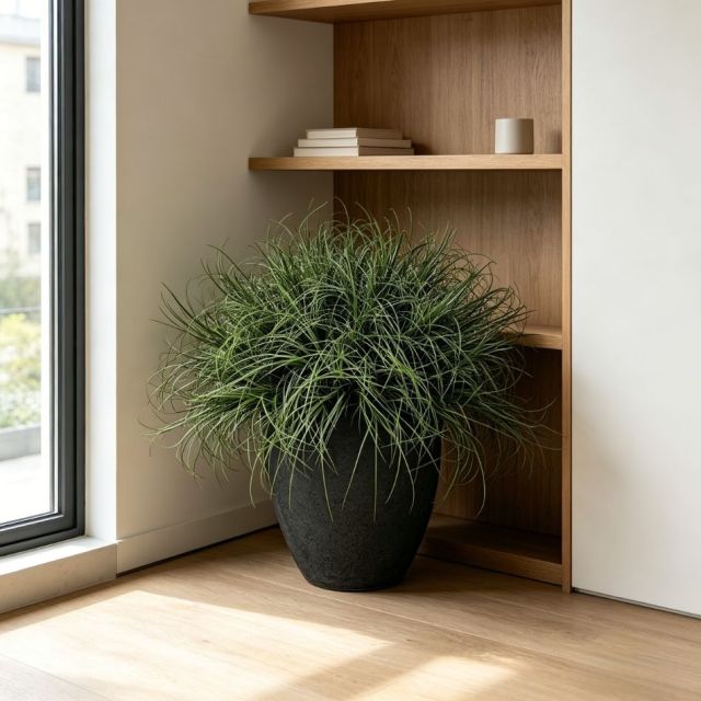 Custom Design High-end / Luxury Design Artificial Grass Potted Plant For Home Decor,Natural Style Artificial Air Grass Potted Plant For Home Decor