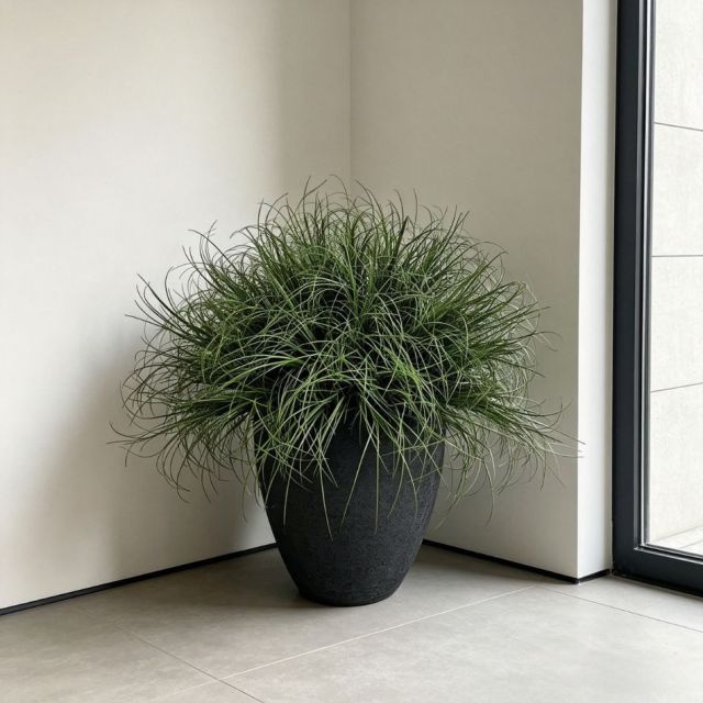 Custom Design High-end / Luxury Design Artificial Grass Potted Plant For Home Decor,Natural Style Artificial Air Grass Potted Plant For Home Decor