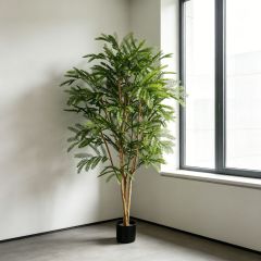High Simulated Artificial Acacia Tree Potted Plant For Interior Decor,High Simulated Artificial Acacia Tree Potted Plant For Interior Decor