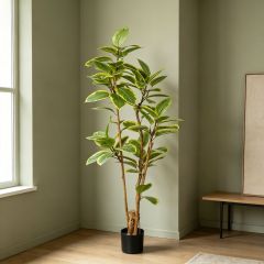 Highly Realistic Artificial Variegated Rubber Tree Potted for Home Office Hotel Decor,Highly Realistic Artificial Variegated Ficus Tree Potted For Home Decor