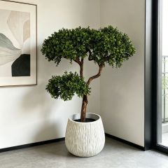  High Simulated Decorative Faux Greenery Boxwood Plants for Modern Interior Decor, High Simulated Decorative Faux Greenery Boxwood Plants for Modern Interior Decor