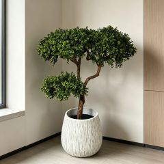  High Simulated Decorative Faux Greenery Boxwood Plants for Modern Interior Decor, High Simulated Decorative Faux Greenery Boxwood Plants for Modern Interior Decor