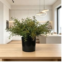 30CM High Simulated Artificial Rosemary Potted Plant for Indoor Decor,30CM High Simulated Artificial Rosemary Potted Plant, Artificial Plants Indoor for Home Office Decor, Realistic Fake Plants for Desk, Small Faux Greenery for Shelf & Bathroom Decor