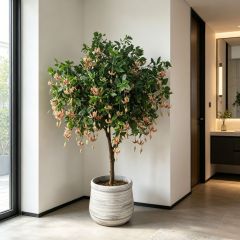 180CM Custom Design Potted Artificial Jasmine Tree for Interior Decor,180CM Custom Design Potted Artificial Jasmine Tree for Interior Decor