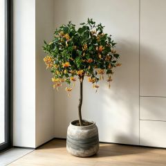 155CM Custom Design Decorative Artificial Wisteria Tree in Pot,155CM Custom Design Decorative Artificial Osmanthus tree in Pot