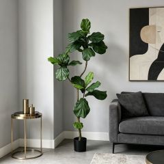150CM High Simulated Potted Artificial Fiddle Leaf Fig Tree	for Home Decor,150CM High Simulated Potted Artificial Fiddle Leaf Fig Tree	for Home Decor