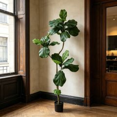 150CM High Simulated Potted Artificial Fiddle Leaf Fig Tree	for Home Decor,150CM High Simulated Potted Artificial Fiddle Leaf Fig Tree	for Home Decor