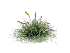 Interior Landscape Decor Artificial Grass Stack for Interior Design,Interior Landscape Decor Artificial Grass Stack for Interior Design