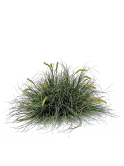 Interior Landscape Decor Artificial Grass Stack for Interior Design,Interior Landscape Decor Artificial Grass Stack for Interior Design