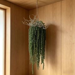 High Simulated Fake Hanging succulent plant for Home/Office/Hotel Decor,High Simulated Fake Hanging succulent plant for Home/Office/Hotel Decor