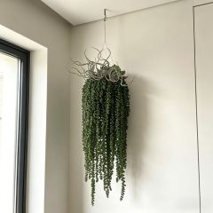 High Simulated Fake Hanging succulent plant for Home/Office/Hotel Decor,High Simulated Fake Hanging succulent plant for Home/Office/Hotel Decor