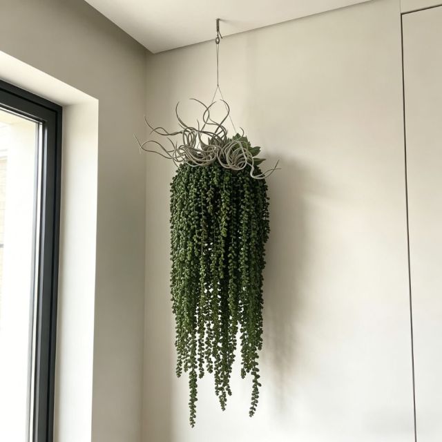 High Simulated Fake Hanging succulent plant for Home/Office/Hotel Decor,High Simulated Fake Hanging succulent plant for Home/Office/Hotel Decor