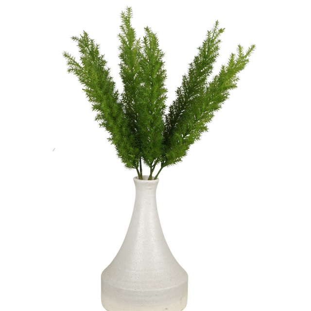 Foxtail Fern Artificial Greenery Stems,Fake Radix Asparagi Plants for Table Vase Filler Farmhouse Indoor Outdoor Home Decoration,Foxtail Fern Artificial Greenery Stems,Fake Radix Asparagi Plants for Table Vase Filler Farmhouse Indoor Outdoor Home Decoration
