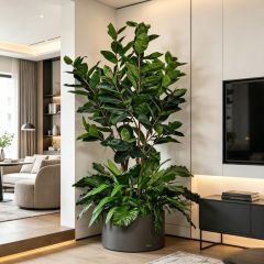 Custom design Artificial Rubber Tree Greenery Arrangement Potted Plant for Indoor Decor,Premium Quality Artificial Rubber Tree Greenery Arrangement Potted Plant for Indoor Decor