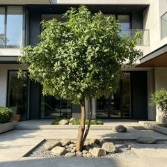 200CM Custom Design Creative Artificial Pieris japonica Floor tree for Interior Decor,Custom Design Creative Artificial Pieris japonica Floor tree for Interior Decor