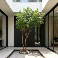 380CM Custom Design Multi-Trunk Artificial Pieris Japonica Floor Tree for Home Decor,380CM Custom Design Multi-Trunk Artificial Pieris Japonica Floor Tree for Home Decor