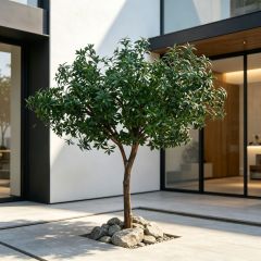 200CM Custom Design Single Trunk Artificial Pieris Japonica Floor Tree for Interior Design,200CM Custom Design Single Trunk Artificial Pieris Japonica Floor Tree for Interior Design