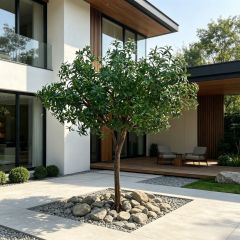200CM Custom Design Single Trunk Artificial Pieris Japonica Floor Tree for Interior Design,200CM Custom Design Single Trunk Artificial Pieris Japonica Floor Tree for Interior Design