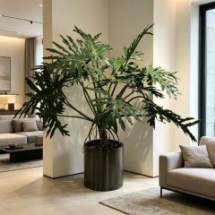 155CM Custom Design Potted Artificial Philodendron Plant for Home Decor,155CM Custom Design Potted Artificial Philodendron Plant for Home Decor